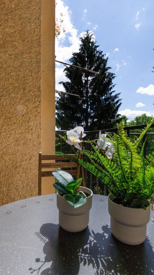 Lk43-Lodging City-Apartments, Kontaktlos Mit Self Check-In Graz Ngoại thất bức ảnh